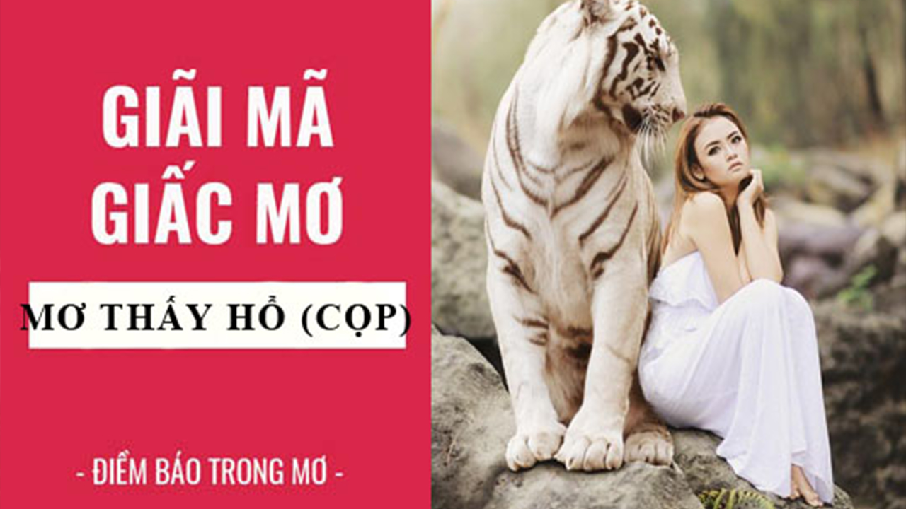 Mơ thấy hổ con