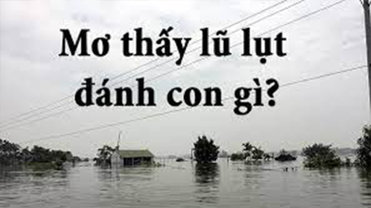 Nằm mơ thấy lũ lụt là điềm gì?