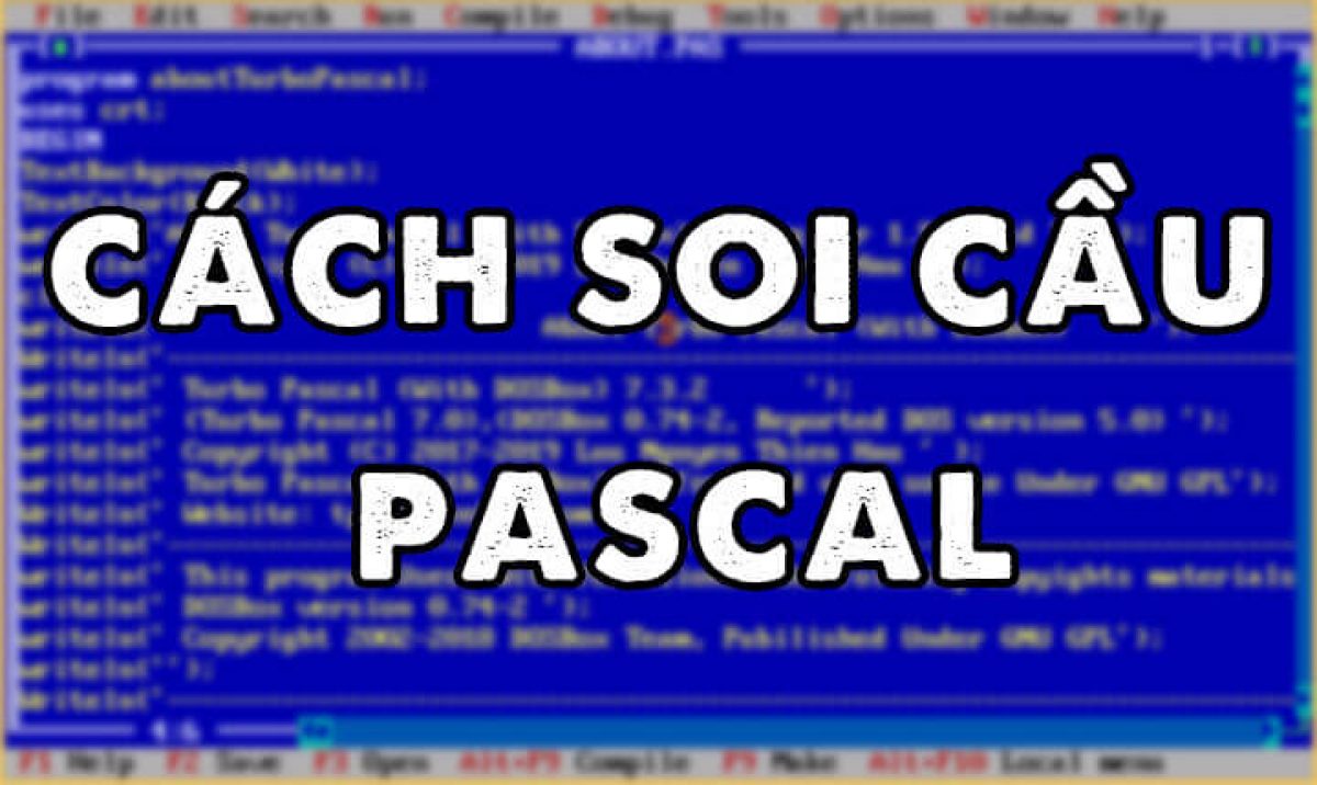 Soi cầu Rồng Bạch Kim với cầu Pascal bao chính 